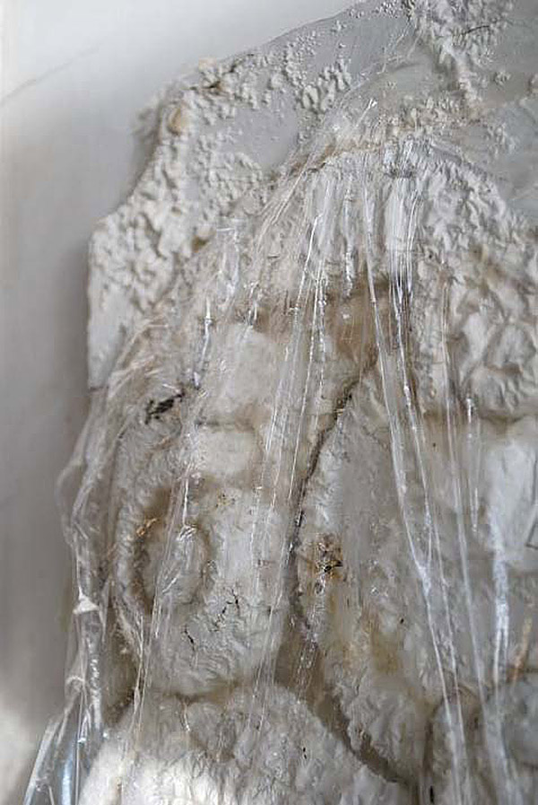 Die Schnitzereien werden zunächst mit Abbeizerpaste bestrichen und wirken dann unter Folie ca. ½ Std ein. Die Schnitzereien werden zunächst mit Abbeizerpaste bestrichen und wirken dann unter Folie ca. ½ Std ein.